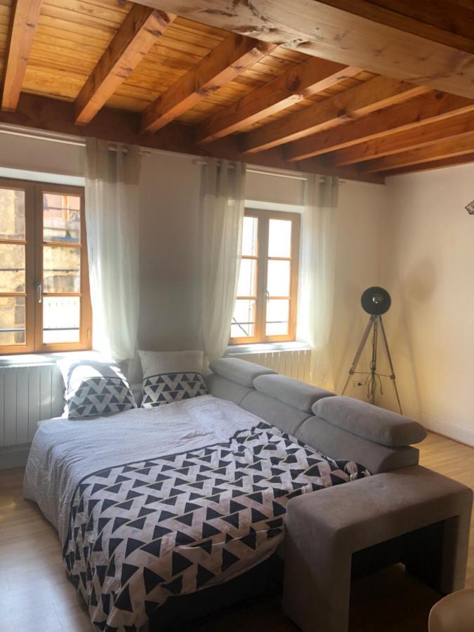Le Double Pirou # 2 Appartements # Halte Auvergne Thiers Exterior photo